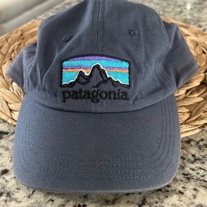 Patagonia dad hat